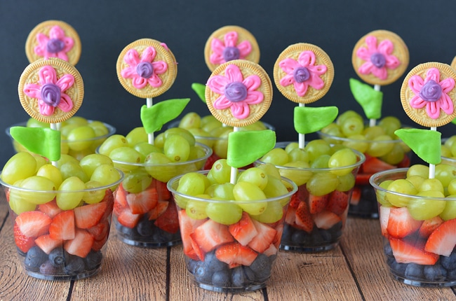 Fruit Cup Image
